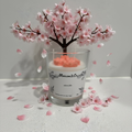 Sakura falls candle
